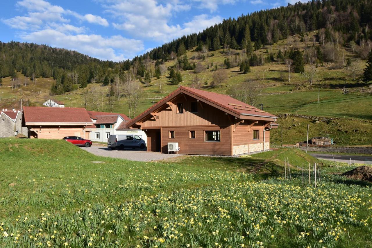 Tout Neuf - Chalet Pebie 8 A 10 Pers Avec Sauna ลาแบรส ภายนอก รูปภาพ